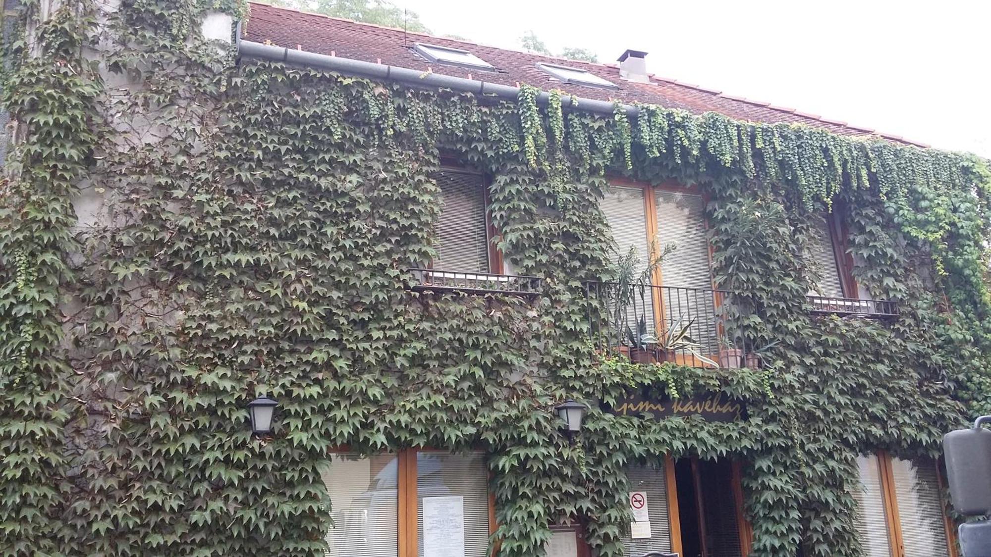 Gimi Vendeghaz Hotel Baja Luaran gambar